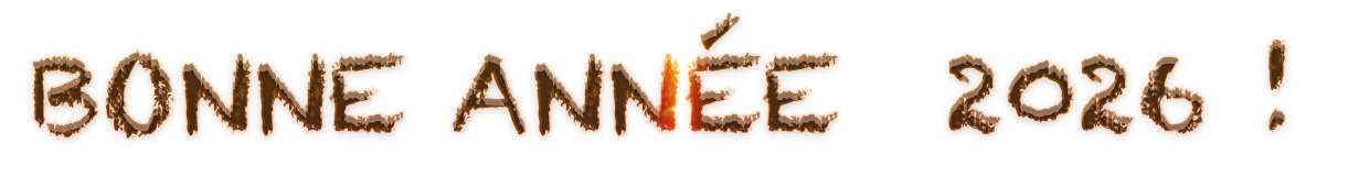 bonne annee 2026 5